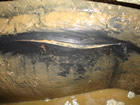 First split before repair